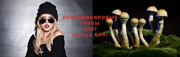 крисы Верея