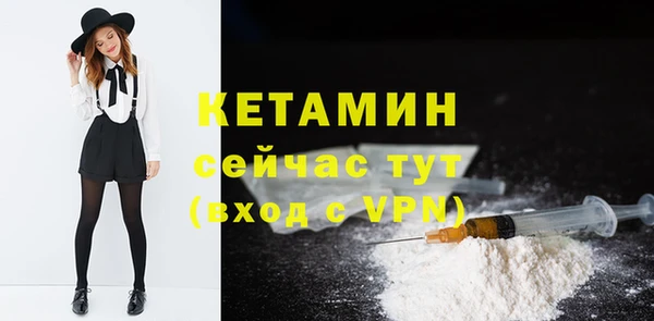 крисы Верея