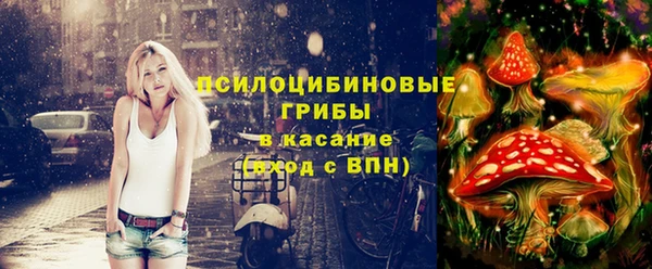 крисы Верея