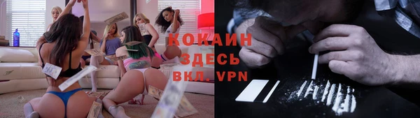 мдпв Верхний Тагил