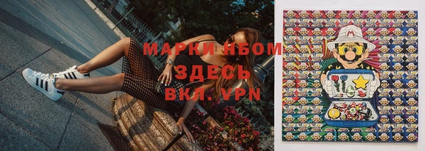 крисы Верея