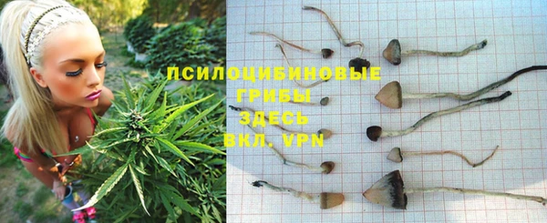 мдпв Верхний Тагил