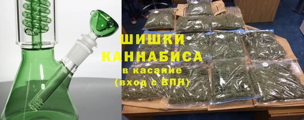 мдпв Верхний Тагил