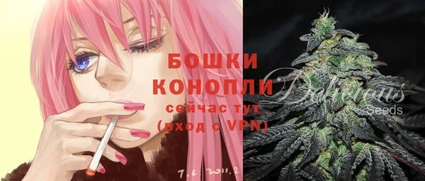 мдпв Верхний Тагил