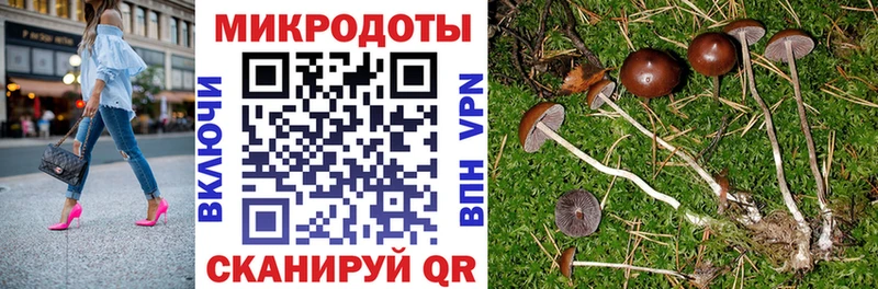 Галлюциногенные грибы мицелий кракен рабочий сайт Тулун